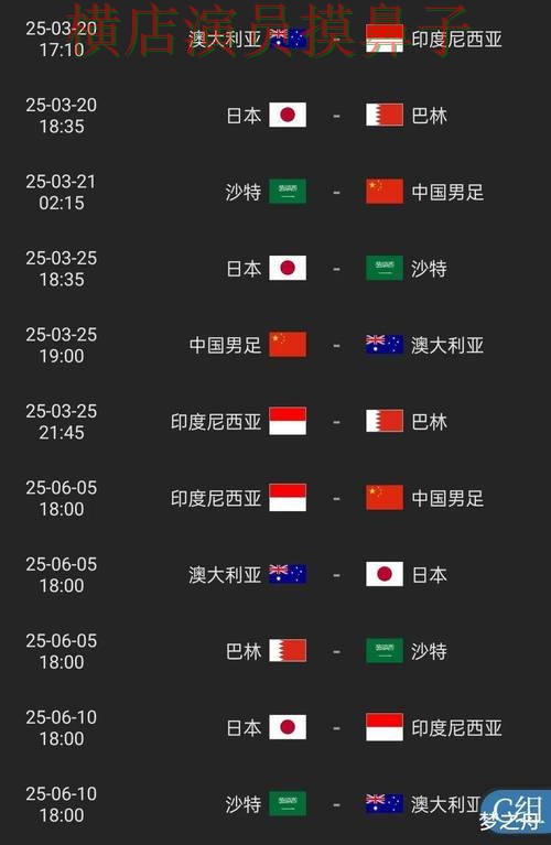 世界杯投注平台合集解析：直播入口全指南 - 2026世界杯
